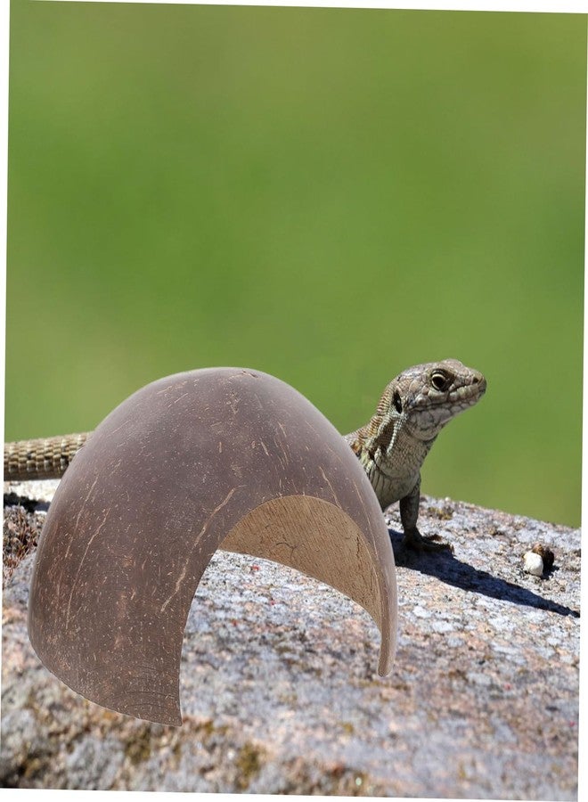 مسكن سلحفاة روسية من الراتنج، ديكور مخبأ للزواحف، مناسب لأحواض الحيوانات الأليفة الصغيرة. - Image 4